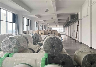 ریلیز فلم جلد ہی بھیج دی جائے گی